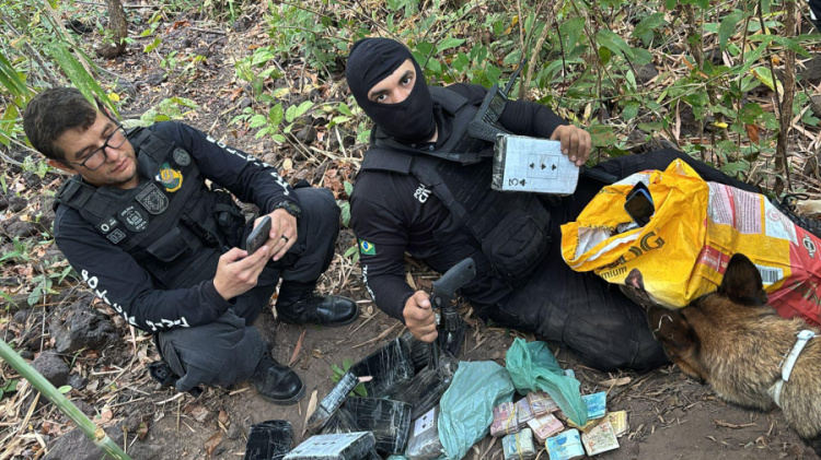 Foto: Polícia Civil 
