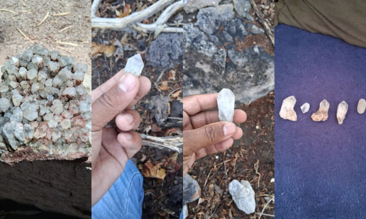 Fotos: Professor Airton Freitas 