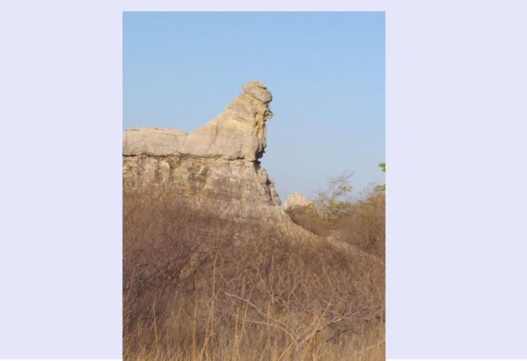 Foto: Professor Airton Freitas