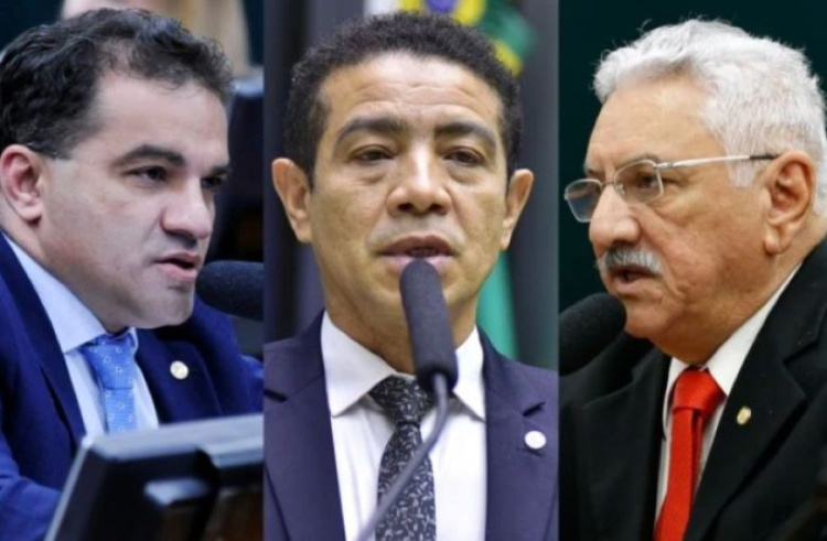 Foto: Cleia Viana, Zeca Ribeiro e Elaine Menke/ Câmara dos Deputados