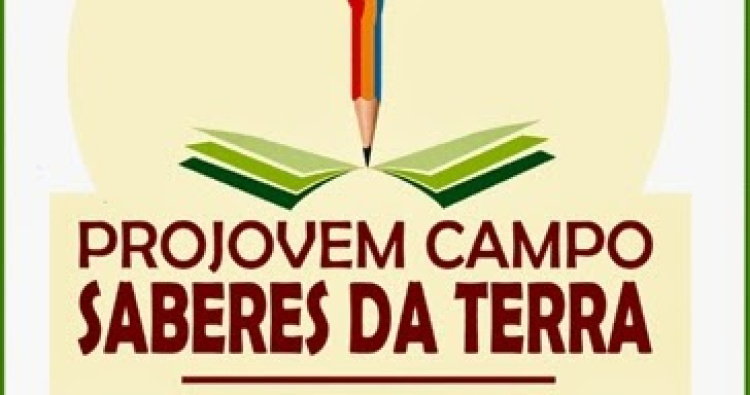 Educação em foco 