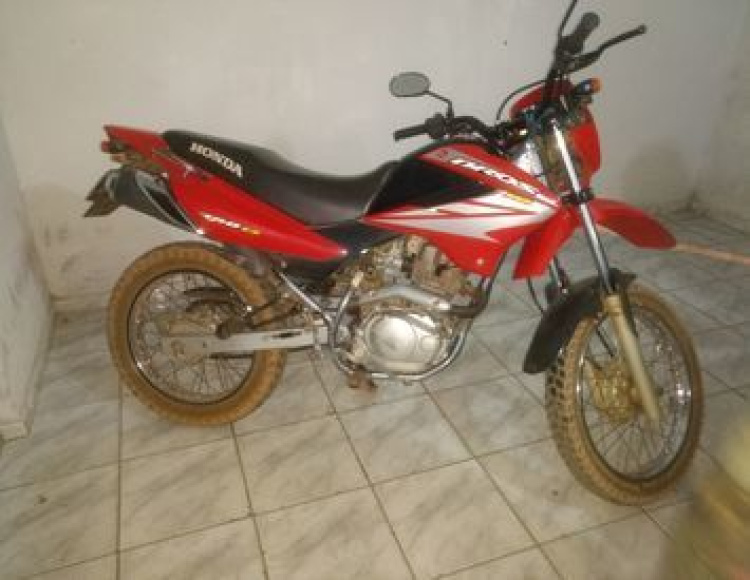 Divulagação