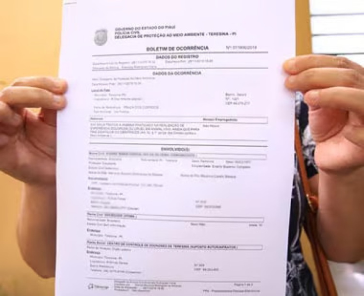 Reprodução 