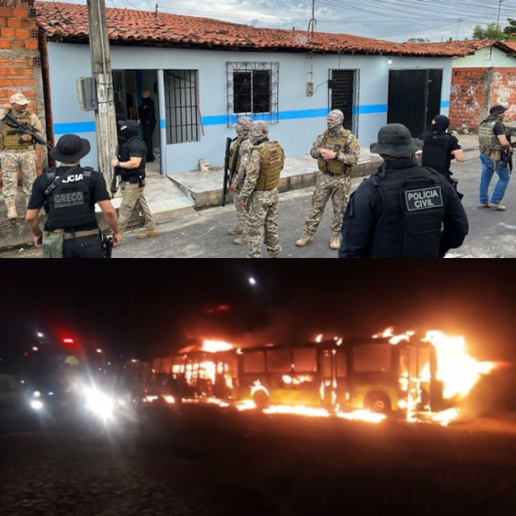 Foto: Polícia Civil 