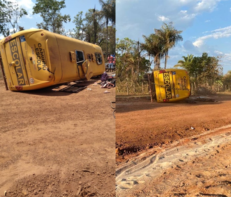 Reprodução 
