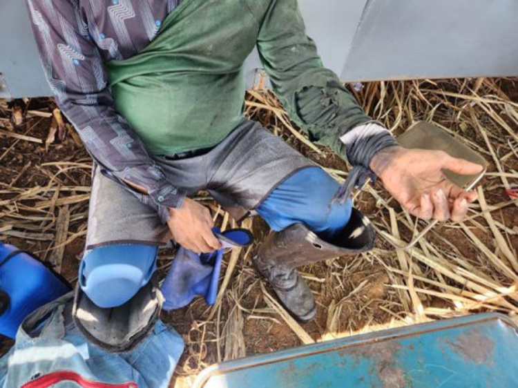 Força-tarefa resgata piauienses de trabalho análogo à escravidão em usina no interior de Goiás (GO)/Força-tarefa resgata piauienses de trabalho análogo à escravidão em usina no interior de Goiás (GO) 