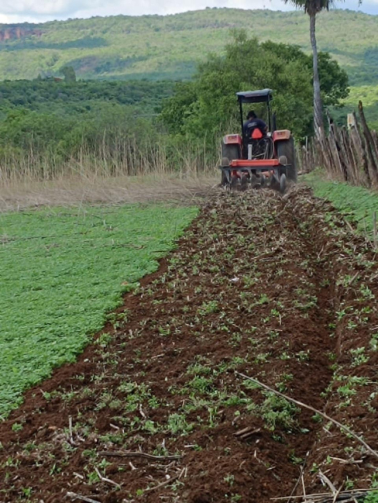 Prefeitura de São Miguel do Tapuio inicia serviços de aração de terras para agricultores 