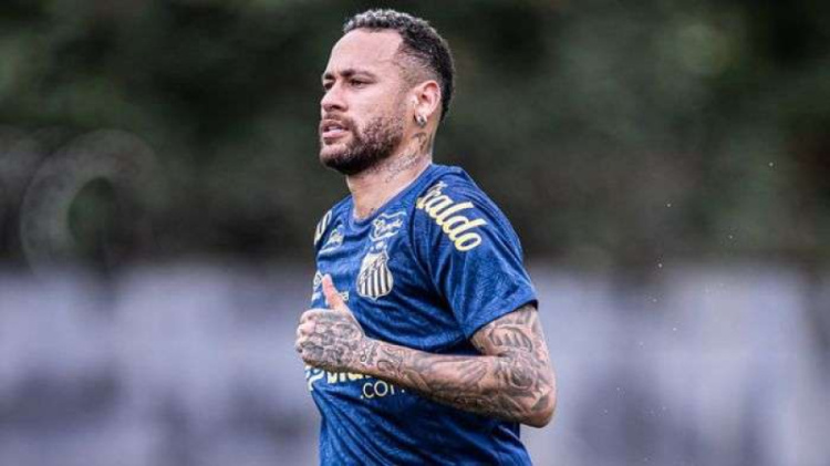 Raul Baretta/Santos FC