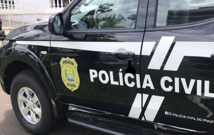 Foto: Polícia Civil do Piauí 